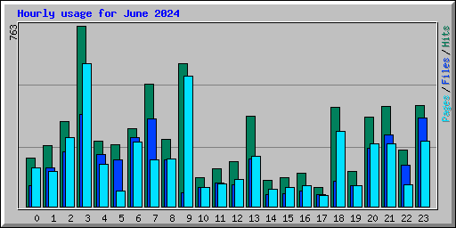 Hourly usage for June 2024