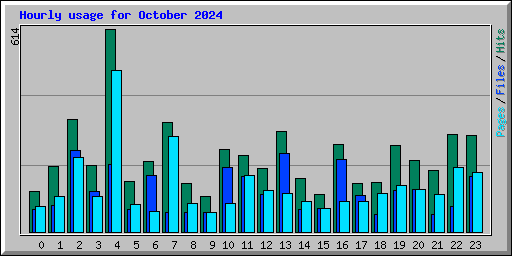 Hourly usage for October 2024